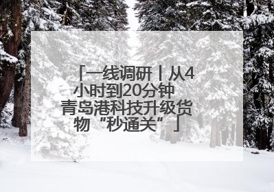 一线调研丨从4小时到20分钟 青岛港科技升级货物“秒通关”